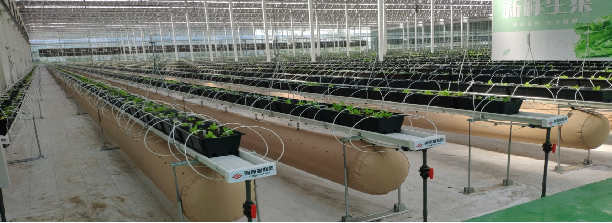 1742348516927753.png image.png